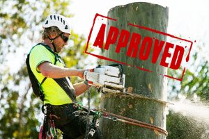 Tree Cutting Permits 2021 Questions Answered