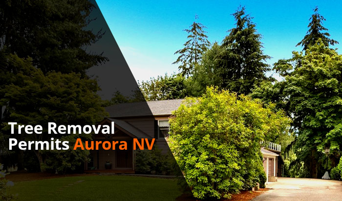 Tree removal permit aurora