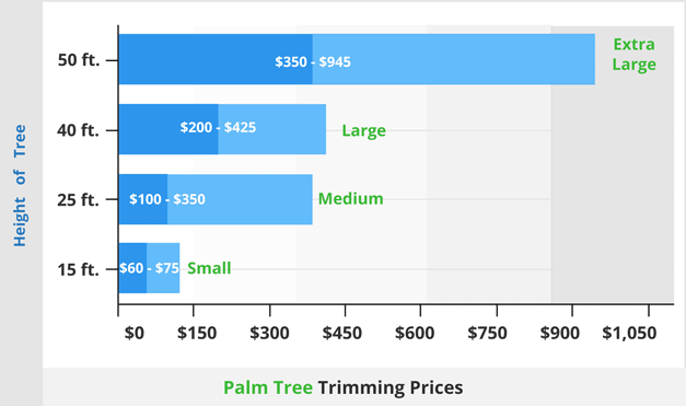  palm Tree Trimming Cost Near Me Fully Blogsphere Image Library