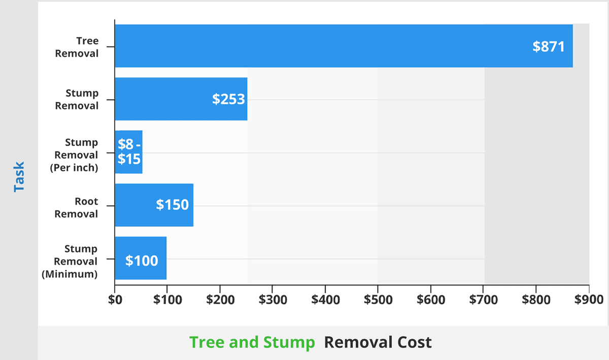 Tree and Stump Removal Near Me 2021
