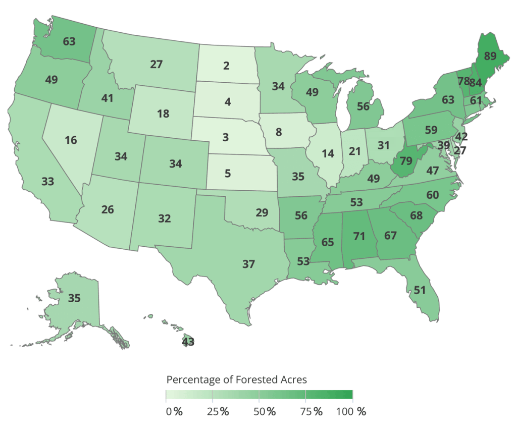 States With Most Forest Acres 2024 List