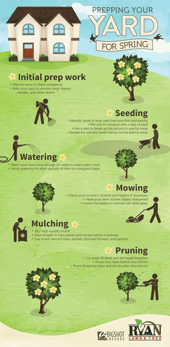 lawn care facts